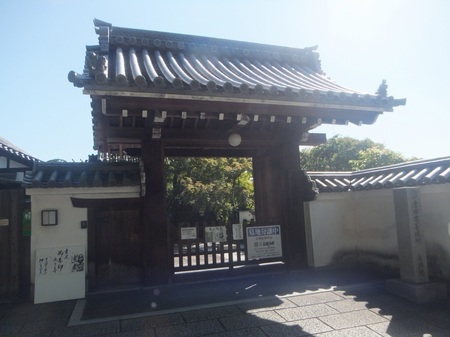 DSCF0559.jpg