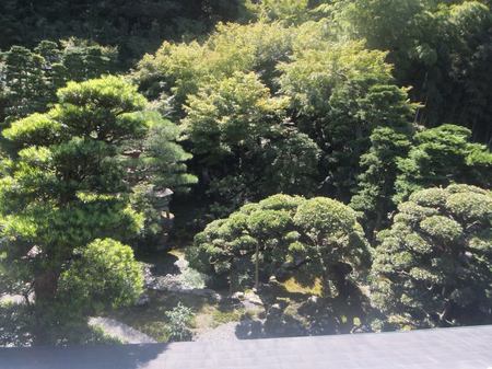 DSCF0614.jpg