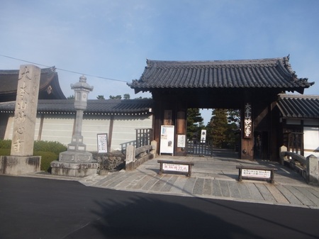 DSCF3028.jpg