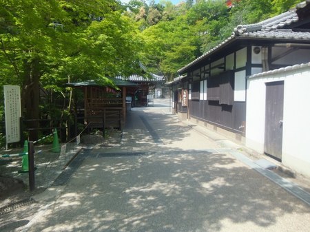 FILE0986.jpg
