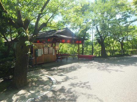 FILE0991.jpg
