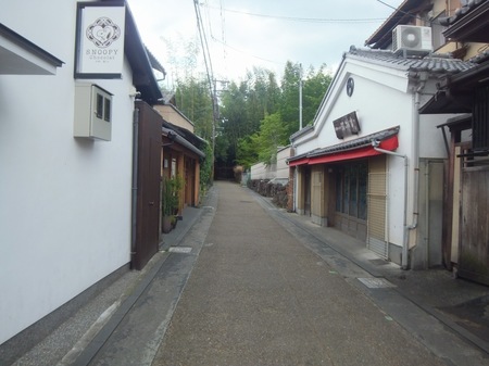 FILE1171.jpg
